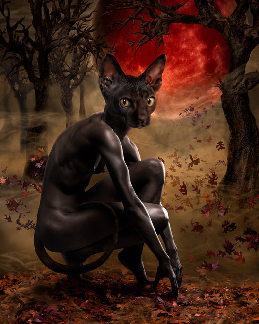 La Chat Noir